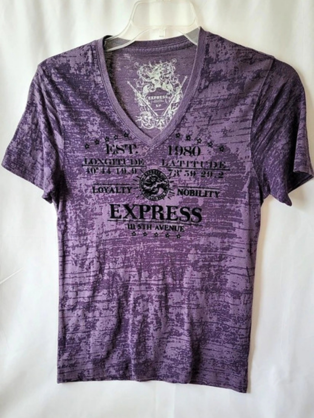 EXPRESS Burnout Graphic V-Neck Men's T-Shirt Purple Small